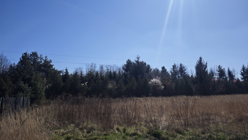 Działka Sprzedaż Wyględy